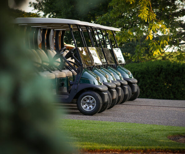 golf-cart-battery